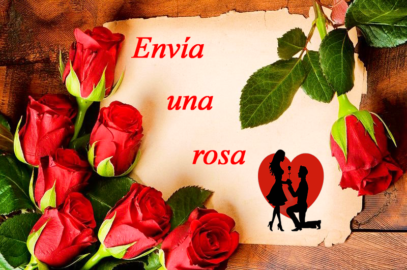 rosas